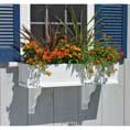 Image of Window Planter Boxes